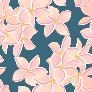 Plumeria Flowers