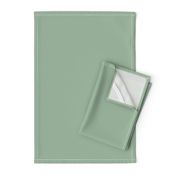 CELADON SOLID COLOR