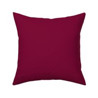 BURGUNDY VIBRANT BRIGHT SOLID COLOR
