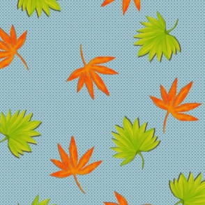Falling Japanese Maple leaves 