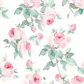 Watercolor pink roses,vintage flowers ,white background 