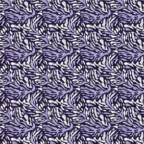Purple Zebra Small