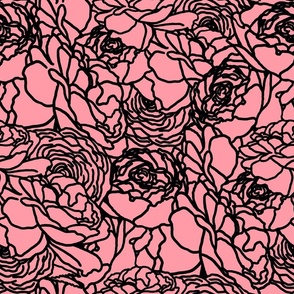 Rose Line Art Black on Peachy Pink