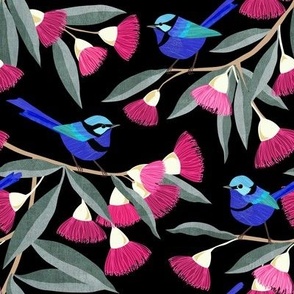 Splendid Fairy Wrens and Pink Eucalyptus - black, small scale by Cecca Designs