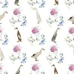 Runner Ducks Floral on white