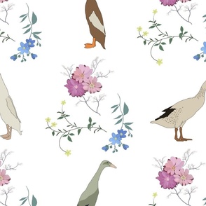 Runner Ducks Floral on white (large)