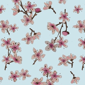 Cherry Blossoms of Japan on Soft Blue