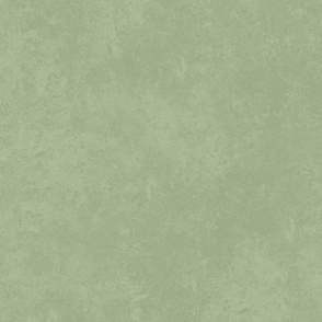 Laurel Green Sage Green Dusty Olive Green Vintage Distressed Textured Solid Color #9caa87