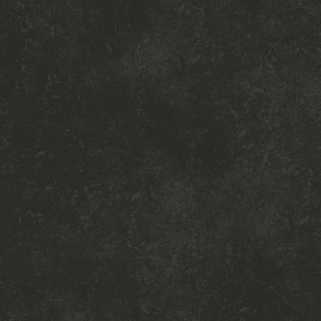 Soft Black Charcoal Gray Dark Gray Gunmetal Grey Vintage Distressed Neutral Textured Solid Color #2a2b25