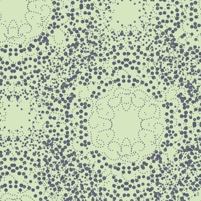 Dots in a stump Mandala