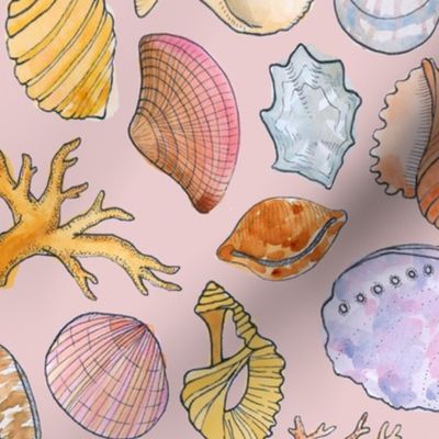 Seaside Treasures {Shell Pink} large