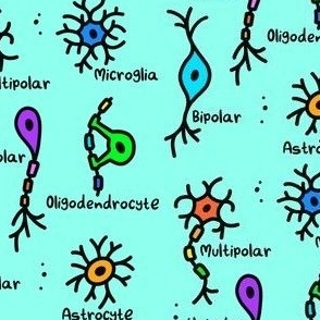 Simple Types of Neurons Labeled Green