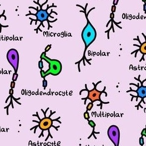 Simple Types of Neurons Labeled Pink