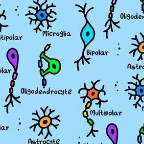Simple Types of Neurons Labeled Blue