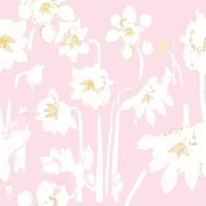 Daffodils - Watercolour - Pastel Pink.