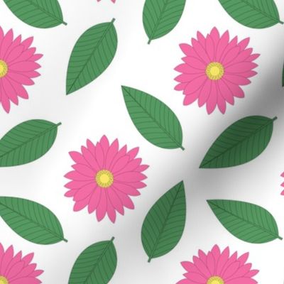 Pink Daisies and Leaves on White