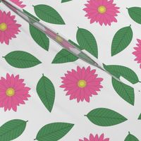 Pink Daisies and Leaves on White