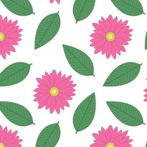 Pink Daisies and Leaves on White