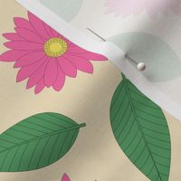 Pink Daisies and Leaves on Coconut