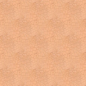 earthy apricot crackle texture | small