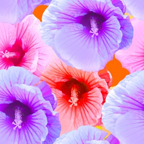Lilac Orange Pink Hibiscus ps Photography / Floral Photography / Tropical Floral Photography  - JUMBO Scale