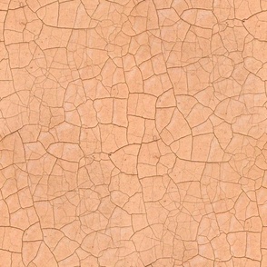 crackle texture warm apricot | medium