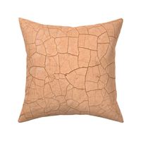 crackled paint apricot – abstract surface | large