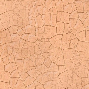 crackled paint apricot – abstract surface | large