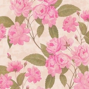 Vintage Pink Roses