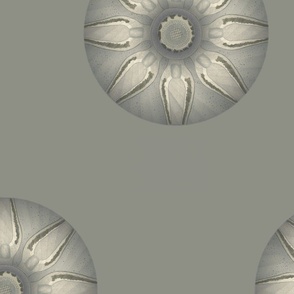 (L) Botanical cell blossom marbles, slate gray