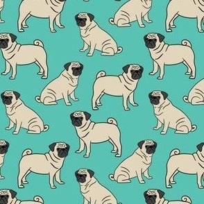 Pugs color on mint green 16