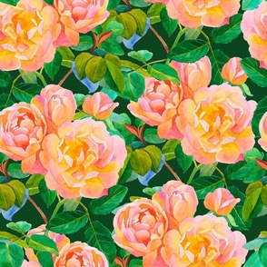 Watercolor Bright Pink and Yellow English Roses on Dark Green, Hand Painted,  L