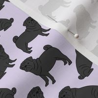 Black Pugs on Lavender 40