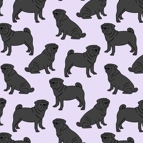Black Pugs on Lavender 40
