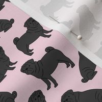 Black Pugs on Pink 39