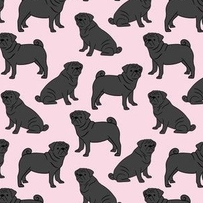 Black Pugs on Pink 39