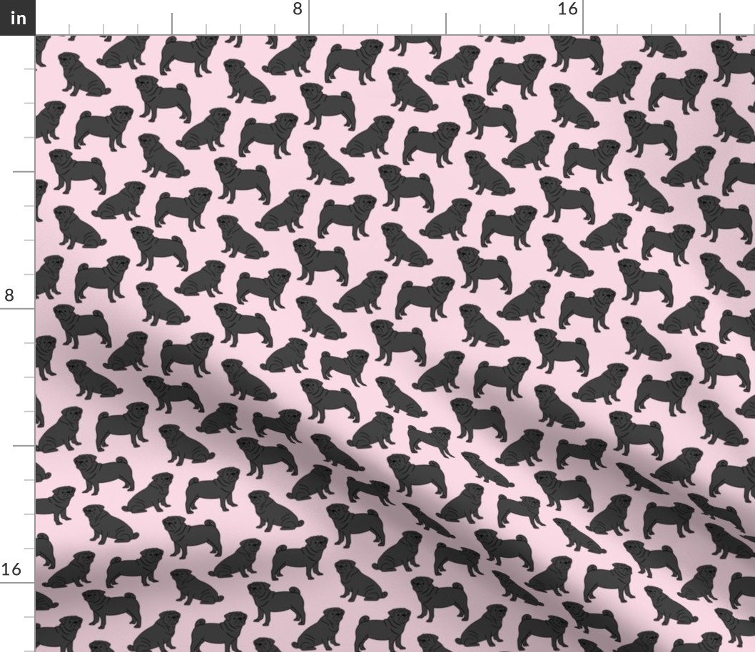 Black Pugs on Pink 39