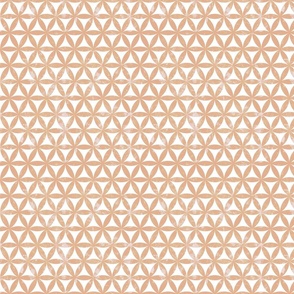 Flower of Life - Sacred Geometry - Light Peach Shade with Antique Texture / Medium