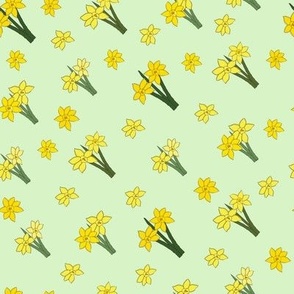 Hand drawn daffodils in cartoon style on light green background