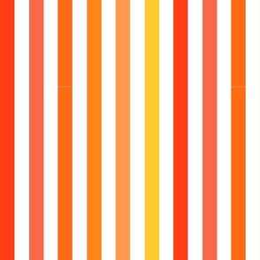 Orange tulip stripe white 12x12