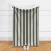 3 inch wide_Awning Stripes in eggshell white and forest green
