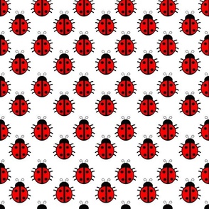 Smaller Red Ladybugs