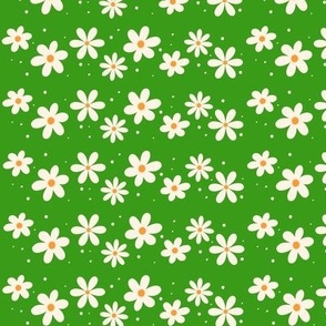 Smaller White Daisy Flowers Ladybug Coordinate in Green