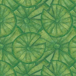 Lily Pad Green