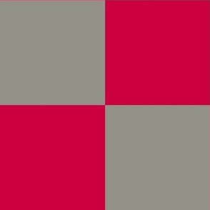 Checkerboard // x-large print // Mod 80s Retro Contrasting Geometric Checks - Vibrant Red on Smoky Gray