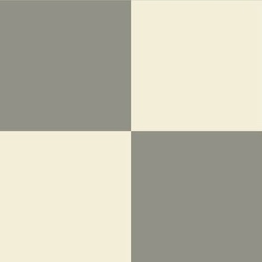 Checkerboard // x-large print // Mod 80s Retro Contrasting Geometric Checks - Smoky Gray on Creamy White