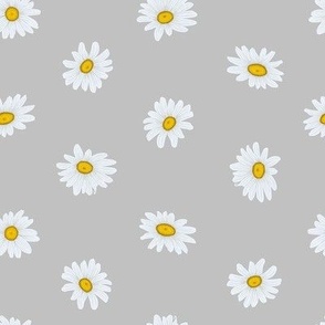 White Shasta Daisies, Sm Half-Drop Floral Pattern, White Flowers, Yellow Centers, Light Gray Background