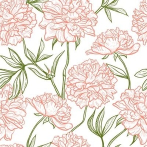 Pink Peonies with Green Leaves on White