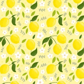 Mini Lemons