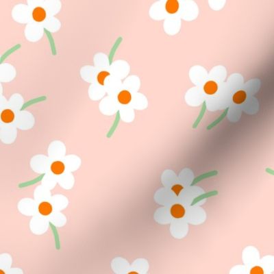 Daisies_Light_Peach